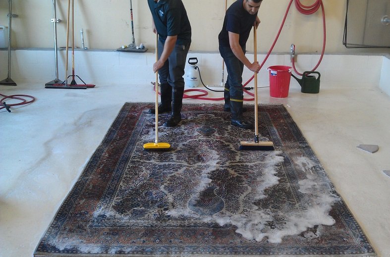 Carpet / Rug Cleaning